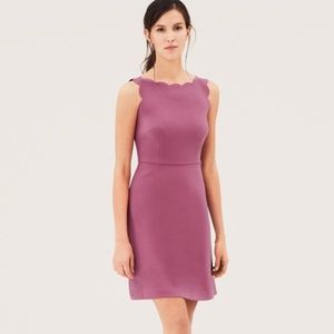 LOFT Scallop Dress - Pink - NWOT